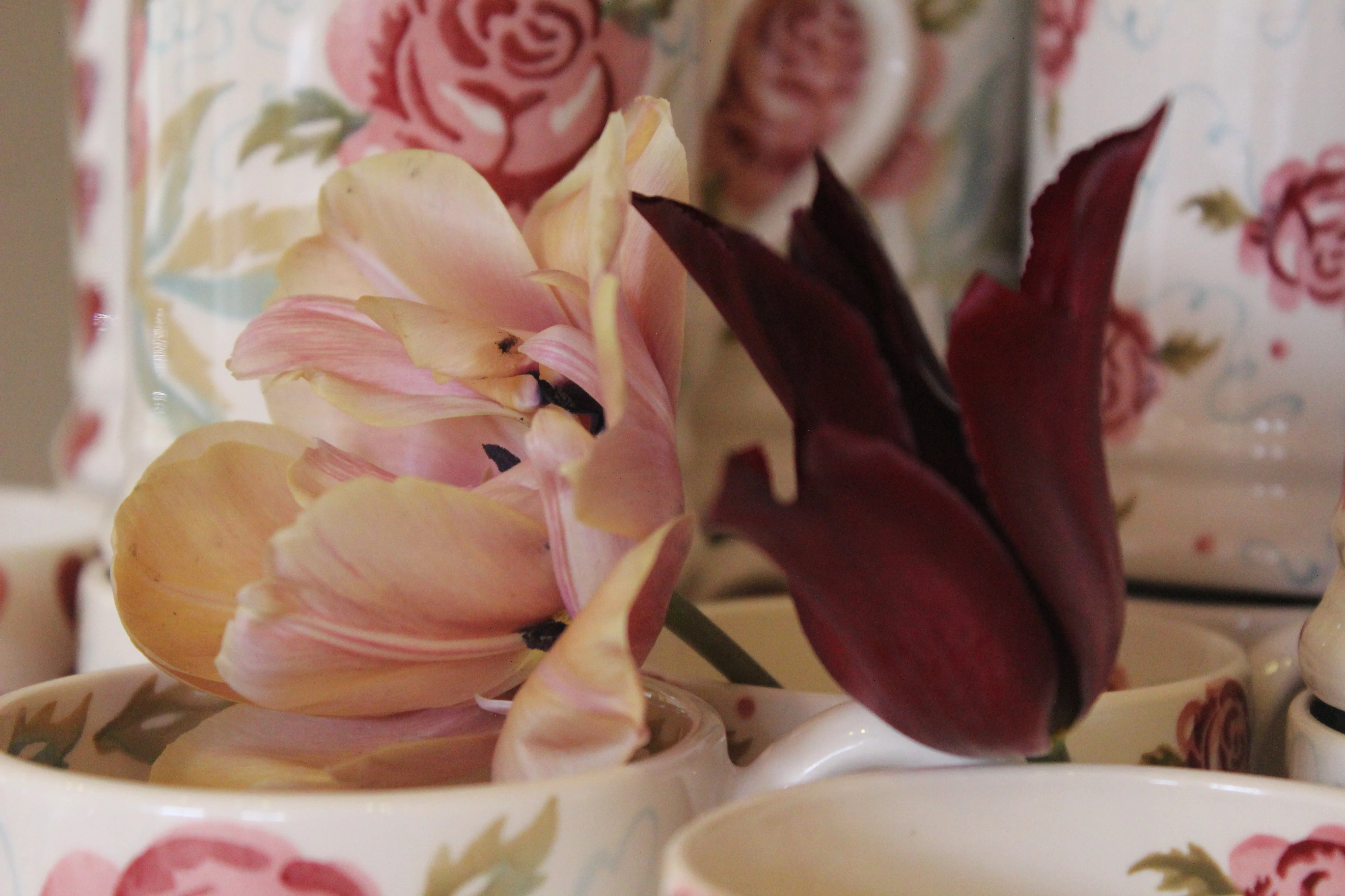 Arthur Parkinson's Tulip & Cutting Garden Masterclass - Image 5